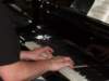 sdc11410_net_small.jpg